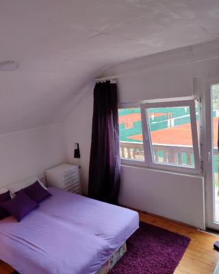 Kursumlijska banja apartman 4+1