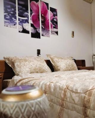 Lihas House