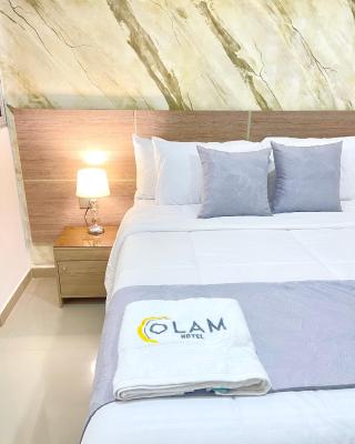 Hotel Olam Deluxe Valledupar