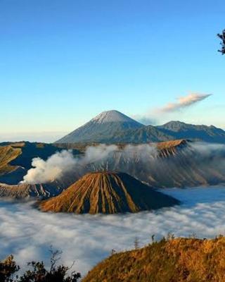 gigafa homestay