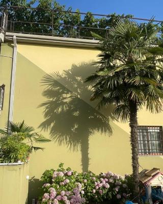 Xhou's Home