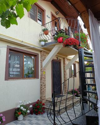 Casa Bianca si Andrei