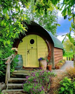 Springfield Cabin