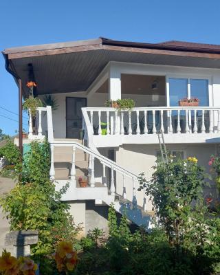 Casa de vacanta Adi