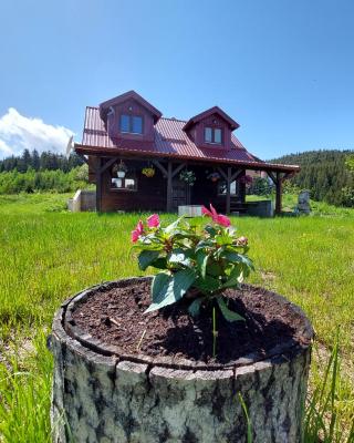 Brvnara Rajkova koliba - STD Bojovići Zlatar