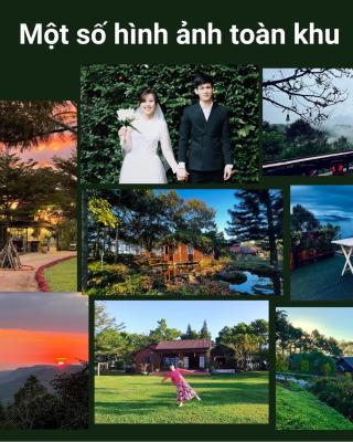 JE T'AIME VILLA - Khu nghỉ dưỡng nhà vườn nằm giữa thiên nhiên bao la hoa cỏ