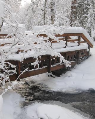 lakeland最赞的30家公寓,别墅及其他度假住宿 - 排名基于booking.