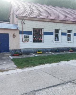 Pensiunea Casa montana