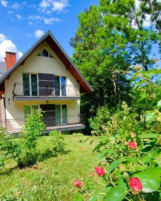 Apartamenty nad potokiem