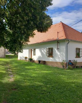 apartmán U dědy Lubina