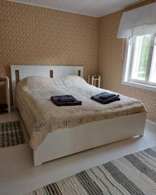 200 years old small cottage with sauna close to archipelago