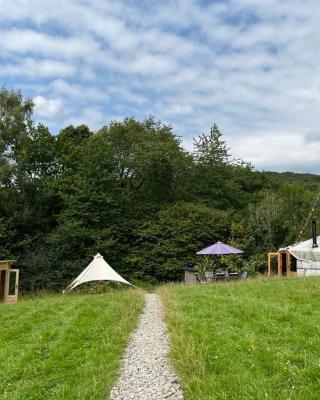 Wilding Yurt Stay