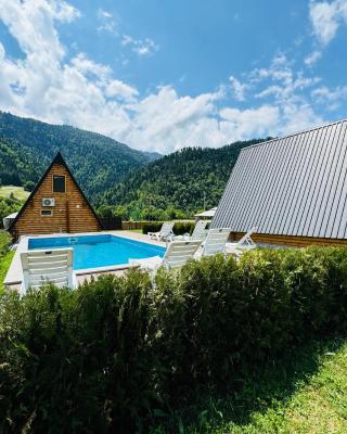 Eco cottage in Borjomi with pool 1
