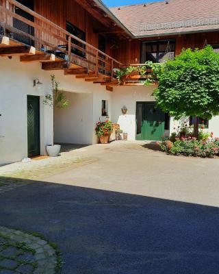 Loftartige Wohnung in Scheibbs mit Schwimmteich