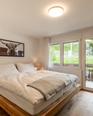 Newly renovated 2 room Apartment