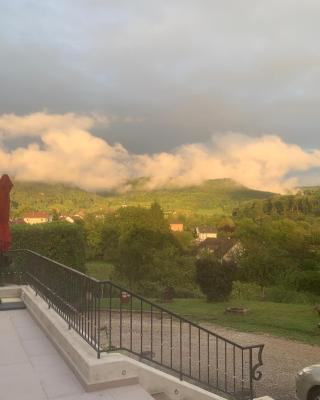 Longue Vue en Arbois