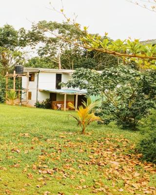 Villa 1200m2 de jardin "100m plage"