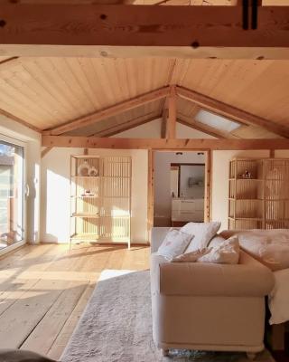Charming 6 bed chalet in 4 Valleés