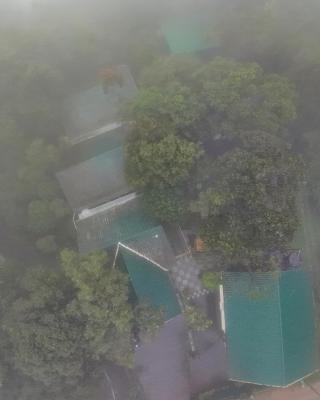 Lakkidi Mist Resort