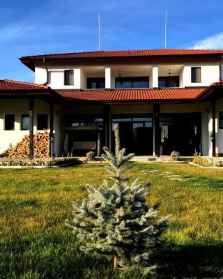 Guest House Hasiendata
