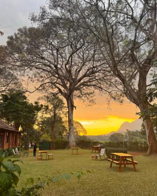 AfricaWildTruck Eco Camp & Lodge
