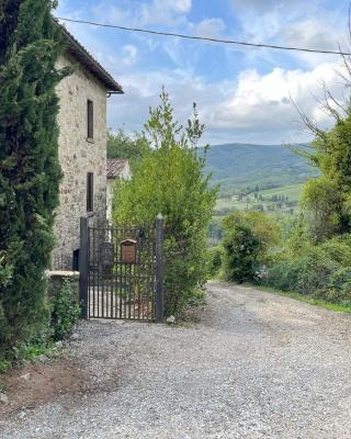 Chianti dreaming in Radda