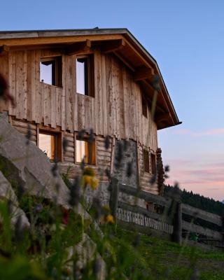 LARIS mountain house