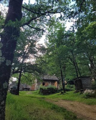 Insolite bergerie dans la forêt