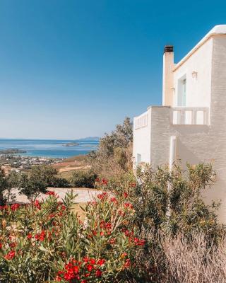 Villa Il Paradiso Andros