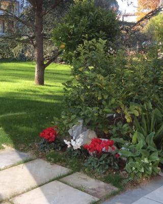 La Veranda Sul Giardino