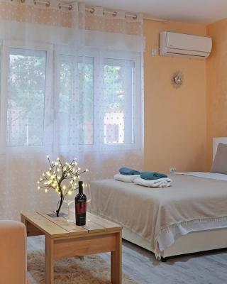Apartment Paradise Biser
