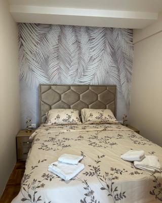 Apartman Happy Moments Kraljevo