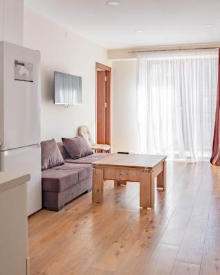 2-room apartment New Gudauri F1