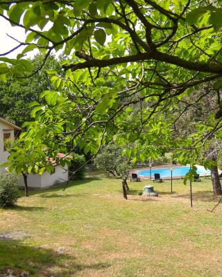 SCAPPO IN UMBRIA, La Casa nel bosco