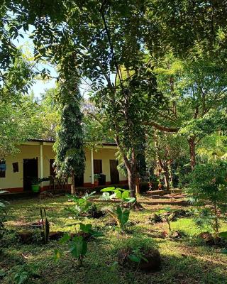 Holy Spirit Hostel Ometepe