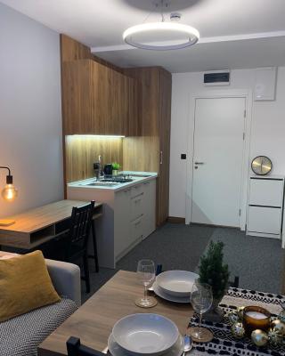 Apartman Glečer Vila Bela Reka