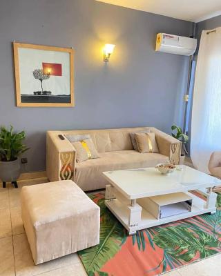 Grand Appartement coquet Bastos