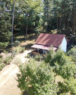 Wald&Wiesengeflüster Zechlinerhütte