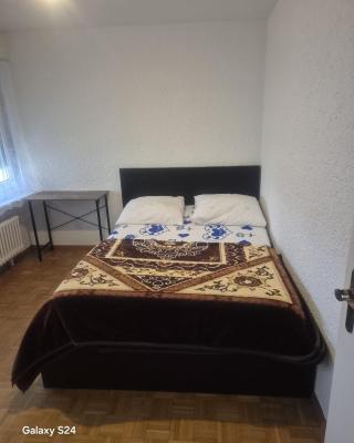 Cosy Room in a Flat