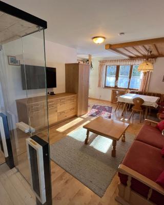 Sonnleitn AlpinWell Appartment (Ski in&out + Wellness)