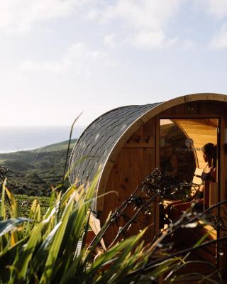Barrique Studio with Sauna at Barrelled Wines Raglan