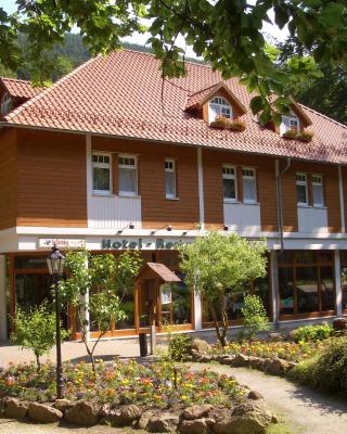 Kurpark Flair Hotel Im Ilsetal