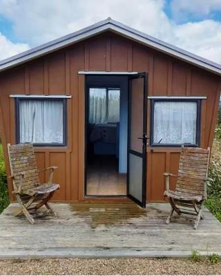 Miranda Cabin 1 Bedroom, Sleeps 4, No Wifi, Outside Bathroom, No running water in cabin
