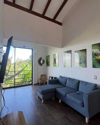 Campo Bonito