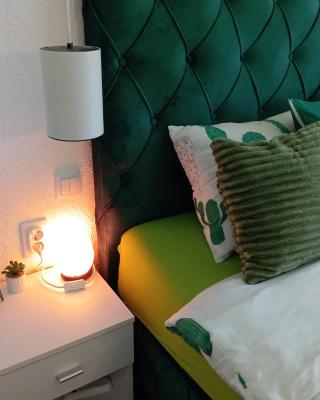 Green Cactus Rooms - unique and cozy house