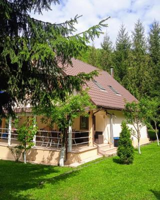 Casa Aris Lepsa Vrancea