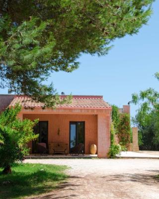 B&B Terra Cesarea