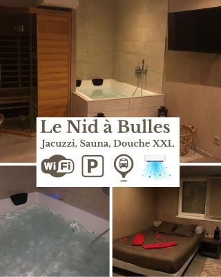 Nid à bulles - Loft 35m2 sauna jacuzzi 10min centre Strasbourg