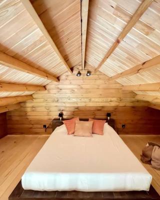 Mountain Eco Shelter 3