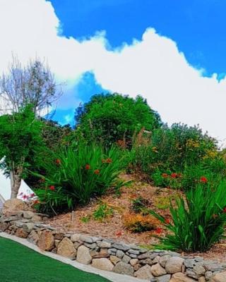 Fairy Cove at Rosemount Glamping